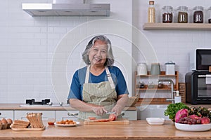 Asian senior woman preparing meal in her modern kitchen