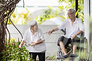 Asian senior woman is pruning branches of flower,tree planting,cleaning and caring for the garden,activities or hobbies,disabled