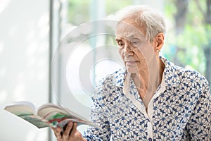 Asian senior woman reading a book relaxed at home,elderly woman spend their free time reading book