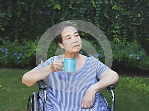 Asian senior woman sitting on wheelchair, holding blue cup of tea or coffee in the garden