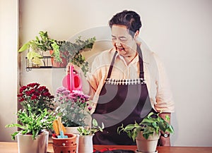 Asian senior  woman  taking care of plant at wooden table indoor , watering flowers with pink watering can ,smiling happily to her