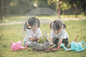 Asian sibling planting young tree on black soil together as save world in garden on summer day. Planting tree. Childchood and