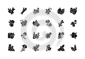 Asian spices black glyph icons set on white space