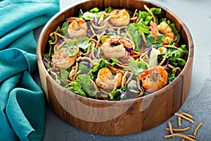 Asian style salad slaw with shrimp