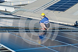 Asian technician installing inspection or repair solar cell panels on background field of photovoltaic solar panels solar cells on