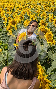 Asian teen taking photo of her mother in a field full of sunflowers