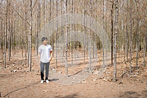 Asian Thai man in white casual stands alone in dry pie forest