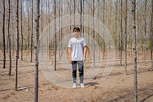 Asian Thai man in white casual stands alone in dry pie forest