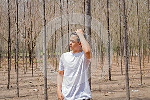 Asian Thai man in white casual stands alone in dry pie forest