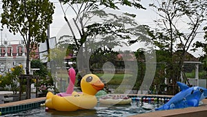 Asian thai woman playing and swimming animal toy rubber floating on the pool water