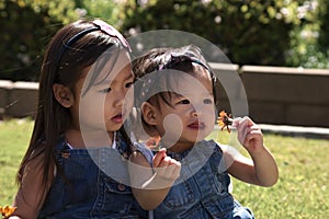 Asian toddler sisters playing with flowers outdoors