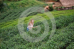 Asian tourists woman on view point at Tea garden doi angkhang T