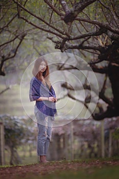 Asian tourists woman on view point at Tea garden doi angkhang T