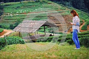 Asian tourists woman on view point at Tea garden doi angkhang T