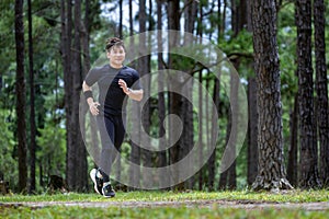 Asian trail runner is running outdoor in the pine forest dirt road for exercise and workout activities training to race in altra