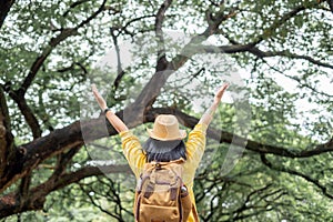 Asian traveler woman backpacker raise arm up  look at view and enjoy moment at green forest season,Freedom wanderlust travel.solo