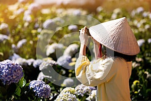 Asian traveler woman take a picture in hydrangea garden