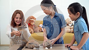 Asian two siblings and parenthood smiling playful three tiny fluffy baby rabbits together on table at home. Happy family daughter