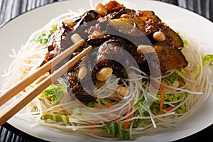 Asian vermicelli with fried eggplants and peanuts close-up on a plate. horizontal