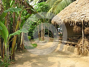 Asian Village Mud House
