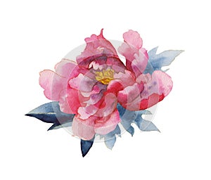 Asian watercolor flowers peone