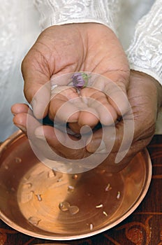 Asian wedding hands