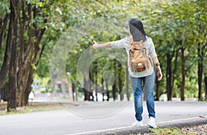 Asian woman backpacker standing on countryside road with tree in