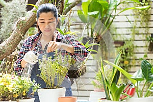 Asian woman care  plant flower in garden. People hobby and freelance gardening indoor at home, nature garden background.