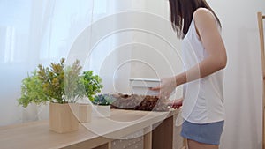 Asian woman cleaning her living room, Beautiful japanese female using feather duster cleaning dust in shelf at home. Lifestyle