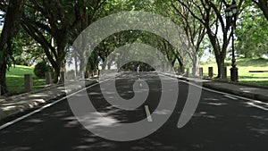 Asian woman in a colored stylish dress with turban walks and dance along the asphalt road under shady trees in the park.