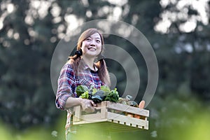 Asian woman farmer is carrying the wooden tray full of freshly pick organics vegetables in her garden for harvest season and