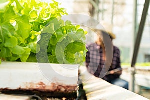 Asian woman farmer check salad vegetable growth and use tablet for control water, light, temperature in hydroponic plant system