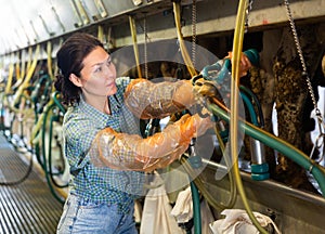 Asian woman farmer cow milking