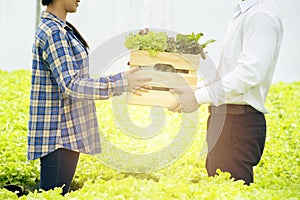 Asian woman farmer give wooden box and selling organic hydroponic fresh vegetables produce to young asian man customer in