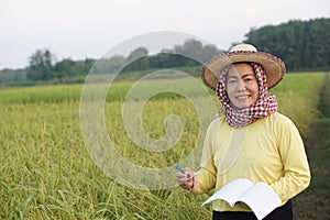 Asian woman farmer is at paddy field