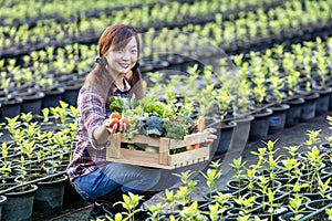 Asian woman farmer is showiing the wooden tray full of freshly pick organics vegetables in her garden for harvest season and