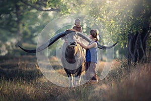 Asian woman farmer with son riding a buffalo