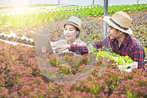 Asian woman farmer use laptop and talk with asian man gardener hold test set,they are work with teamwork,Small business