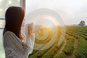 Asian woman fresh morning drinking hot tea and looking out of the window for see Tea Plantation and farm on sunny day.