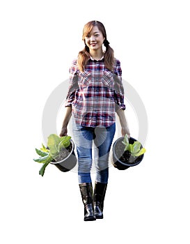 Asian woman gardener is carrying pot of salad lettuce for homegrown organics vegetables garden produce and agricultural farm