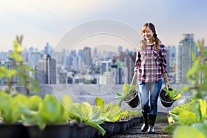 Asian woman gardener is growing organics vegetables while working at rooftop urban farming for city sustainable gardening on photo