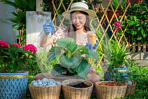 Asian woman gardener relax in her home garden with flower pot