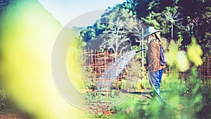 Asian woman gardener is watering in a flower garden