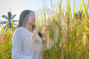 Asian woman in the green rice fields meadow