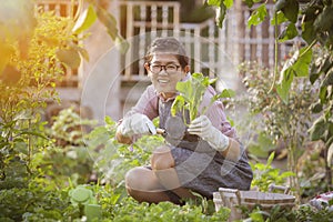 asian woman happiness emotion relaxing in home gardening activities photo