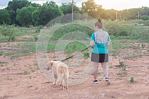 Asian woman with her golden retriever dog walking on the public park