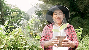 Asian woman holding a seedlings growing in the nursery bag. Nature conservation concept.
