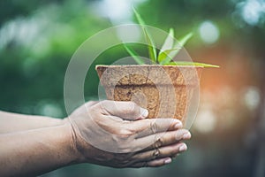 Asian woman holding tree in recycle flowerpot in garden at home concept of save earth and the environment world earth day