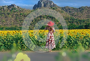 Asian woman looking Sunflowers field at Khao Jeen Lae,Lopburi Province,Thailand