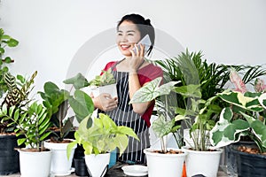 Asian woman plants owner shop talking on smartphone standing with plants selling, get an order from a customer, small business